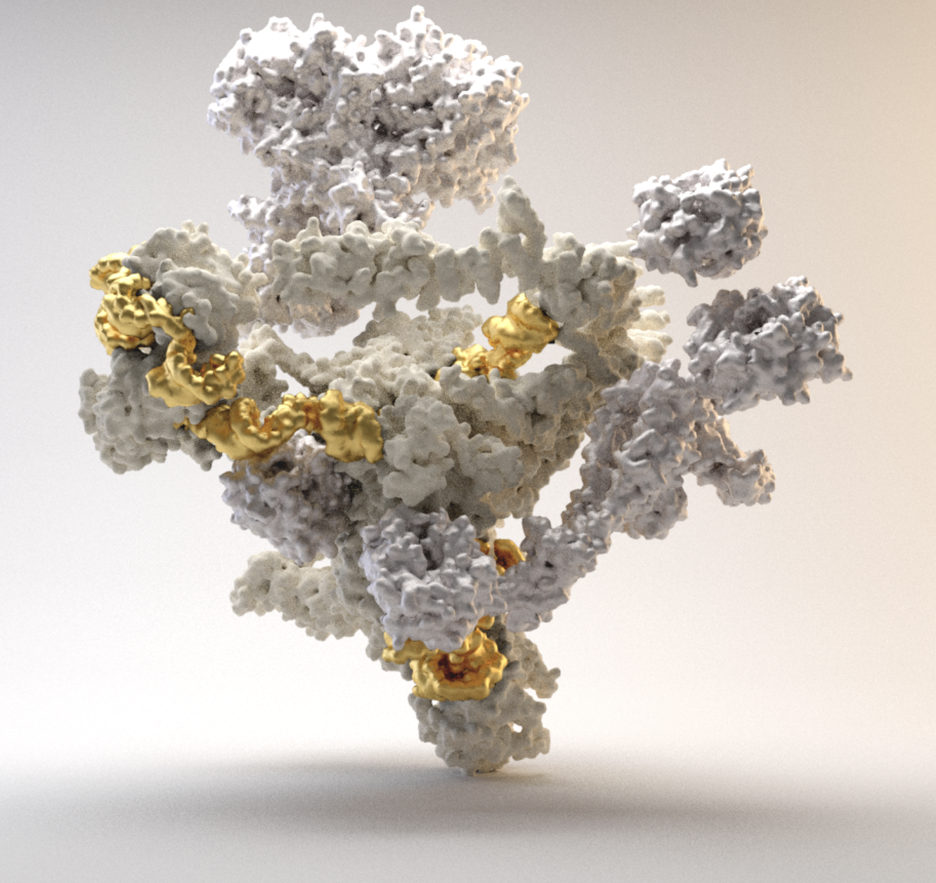 Cryo-EM structure of the spliceosome immediately after branching.