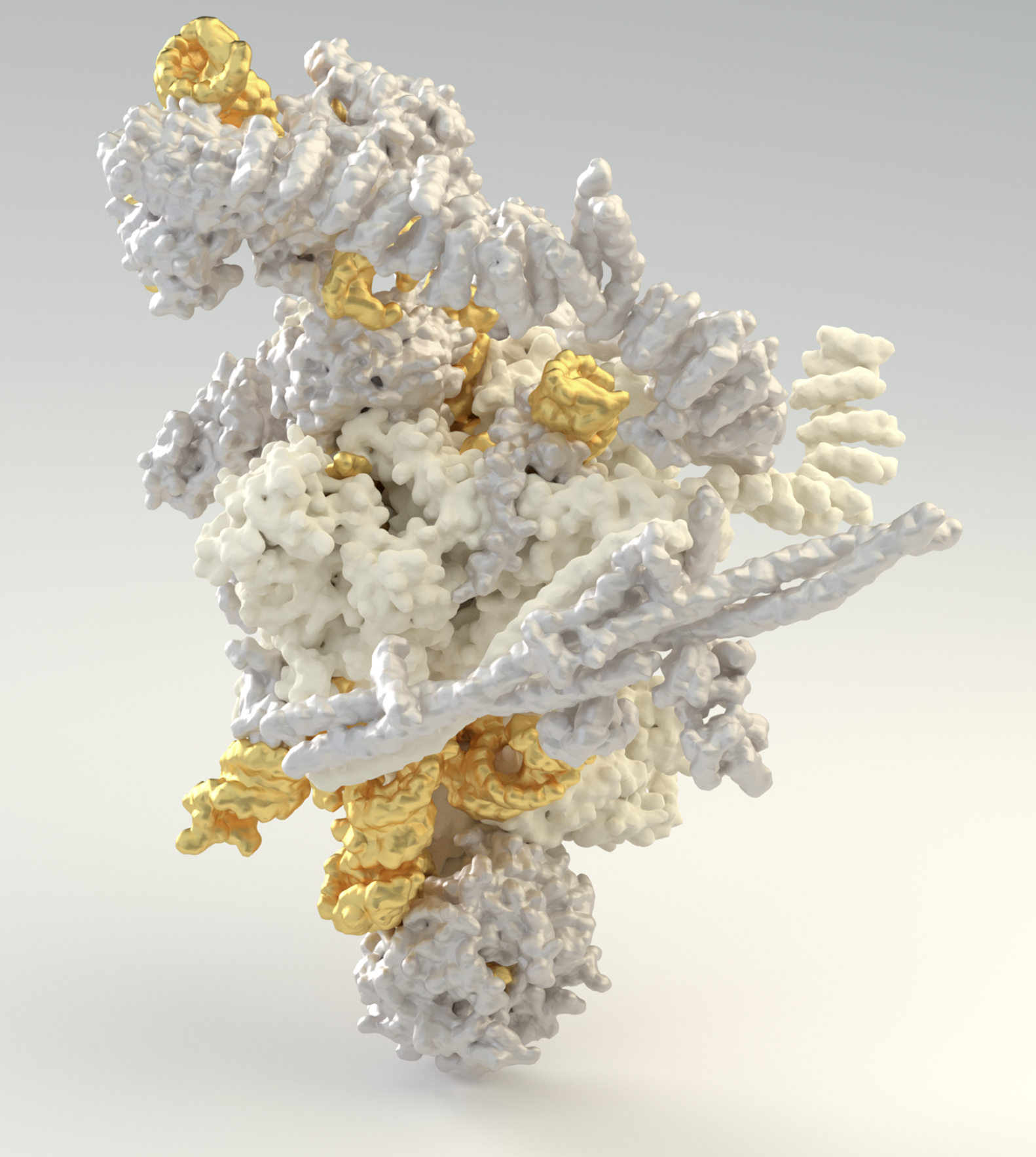 Postcatalytic spliceosome structure reveals mechanism of 3'-splice site selection.