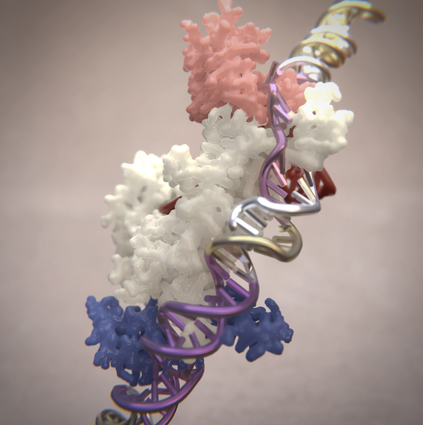 Structure of the R2 non-LTR retrotransposon initiating target-primed reverse transcription.