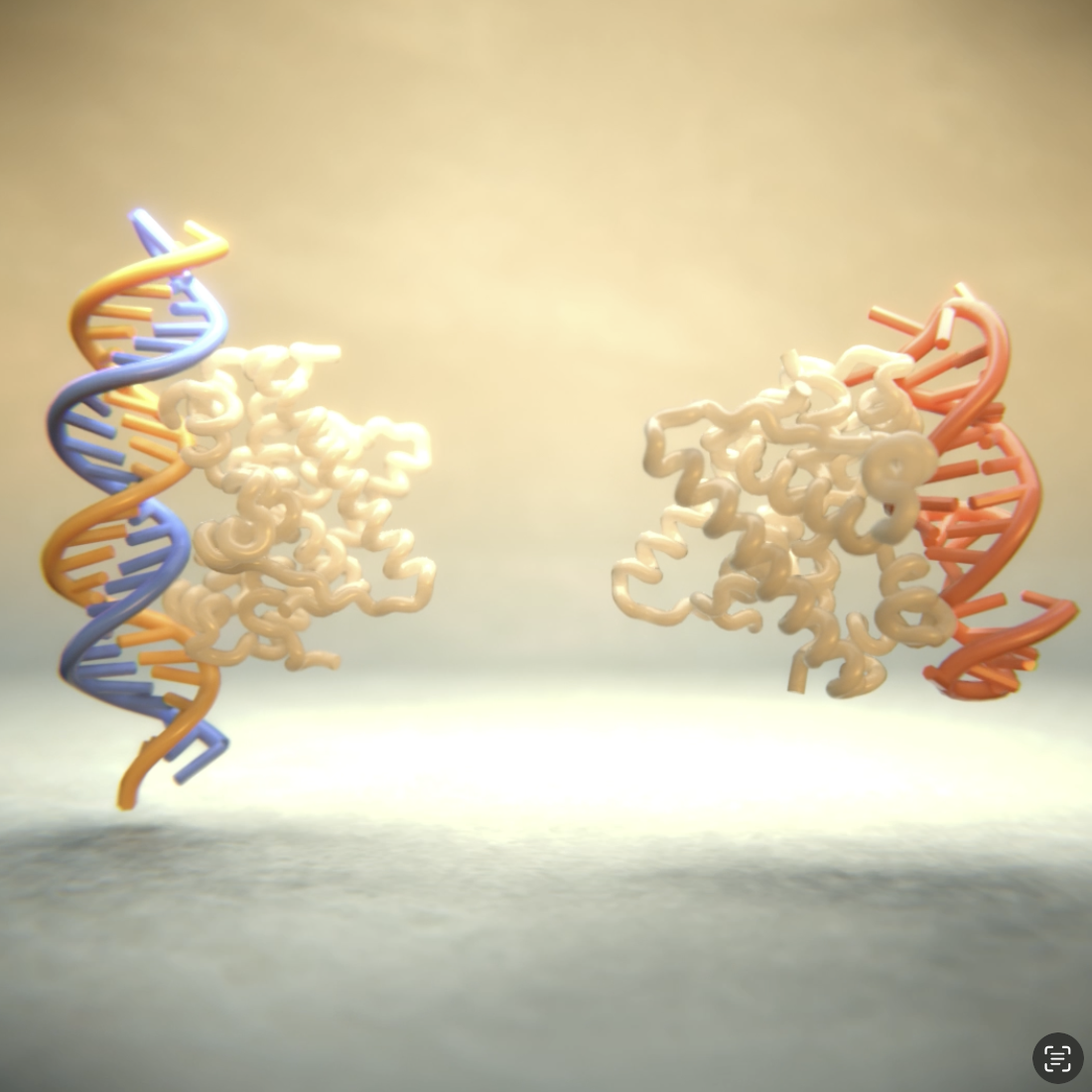 Phage anti-CRISPR control by an RNA- and DNA-binding helix-turn-helix protein.